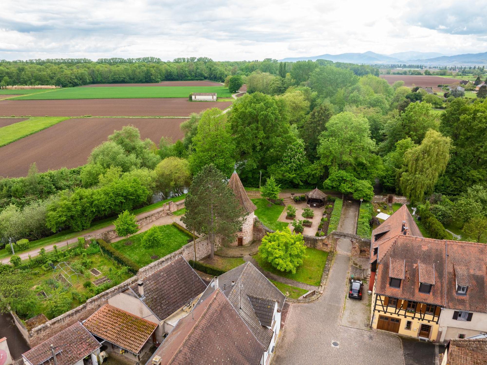La Ruine - Gite D'Alsace Jusqu'A 10 Personnes Avec Spa Interieur Guemar Bagian luar foto